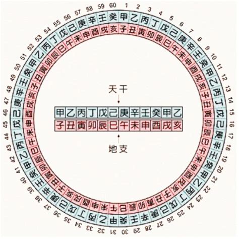 壬寅 五行|天干地支五行对照表